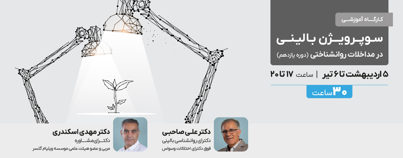 آمیگدال (مدیریت هیجانات بزرگ)